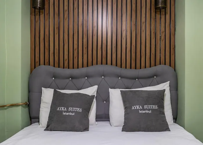 Ξενοδοχείο Ayka Old 3*